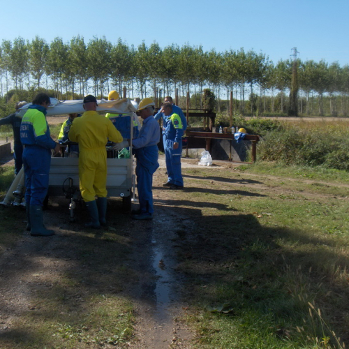 Addestramento Treponti" n. 50""ddestramento "T""d" / 71108