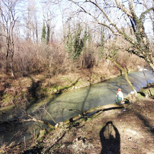 Pulizia spondale del torrente Cormor n. 15 / 74784