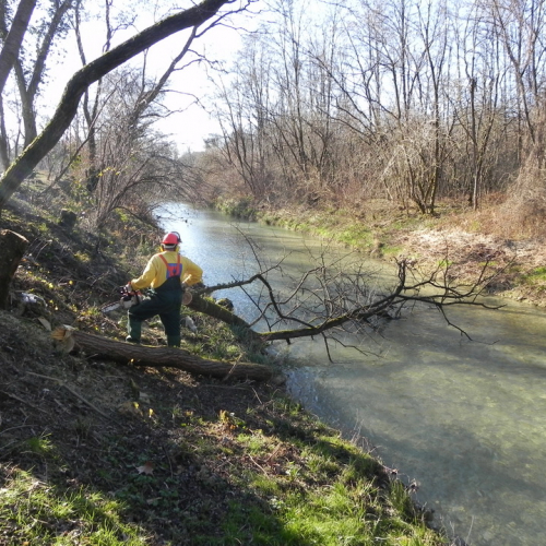 Pulizia spondale del torrente Cormor n. 22 / 74791