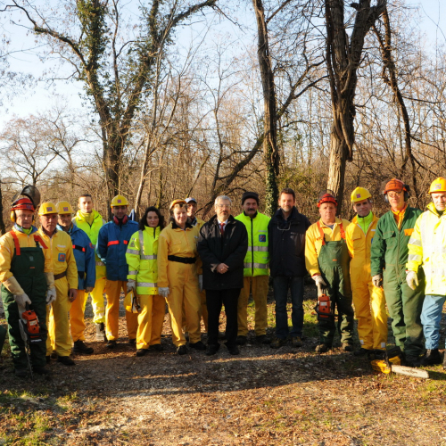 Pulizia spondale del torrente Cormor n. 24 / 74793