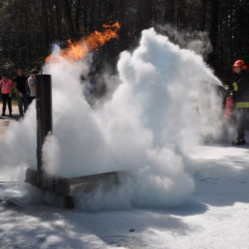 3∞ turno Campi scuola 2013 n. 141 / 94604