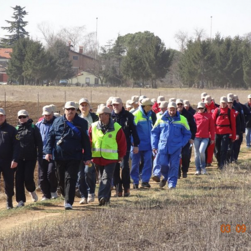 Manifestazione cinofila 09/03 n. 5 / 77132