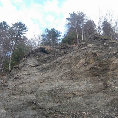 foto 13 / 7385