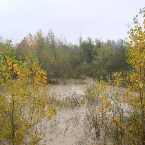 VALVASONE Ponte della Delizia (08).jpg / 87783