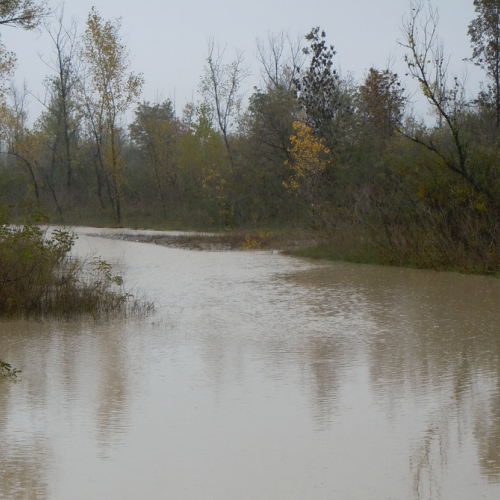 VALVASONE Ponte della Delizia (13).jpg / 87788