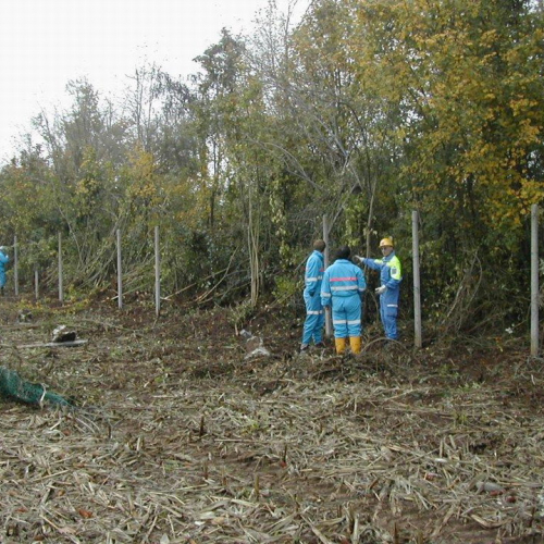 Attivit‡ di prevenzione 13-14/11/2010 n. 13 / 59807