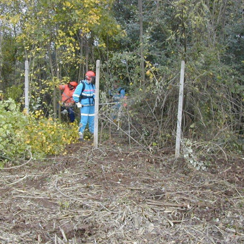 Attivit‡ di prevenzione 13-14/11/2010 n. 14 / 59808