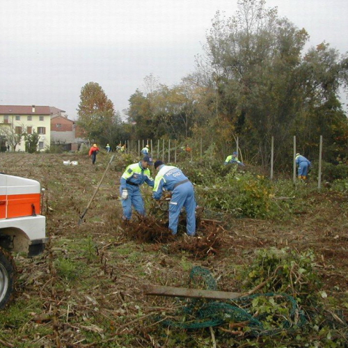 Attivit‡ di prevenzione 13-14/11/2010 n. 15 / 59809