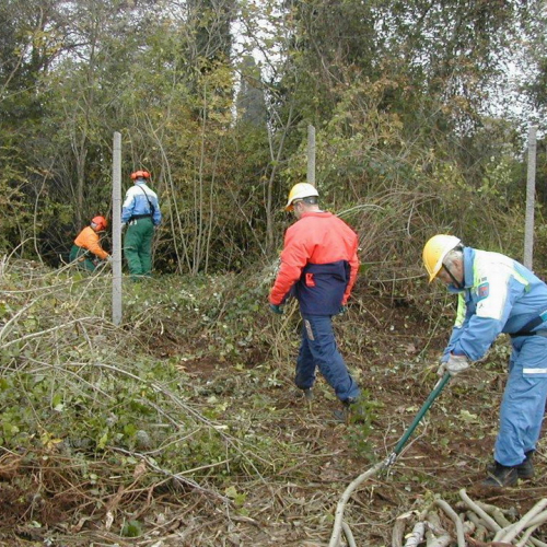 Attivit‡ di prevenzione 13-14/11/2010 n. 16 / 59810