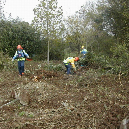 Attivit‡ di prevenzione 13-14/11/2010 n. 17 / 59811