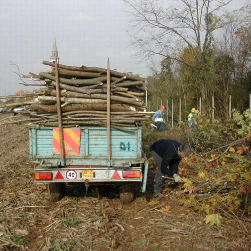 Attivit‡ di prevenzione 13-14/11/2010 n. 20 / 59814