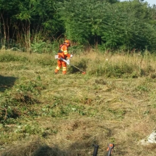 Foto 1 / 114002
