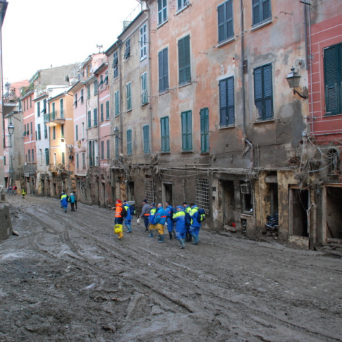 Volontari impegnati a Vernazza n. 45 / 74315
