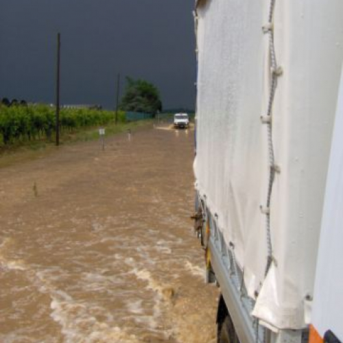 Verso pavia di UD.JPG / 14853