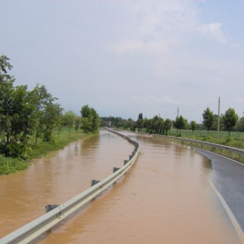 Verso pavia di UD 2.JPG / 14849