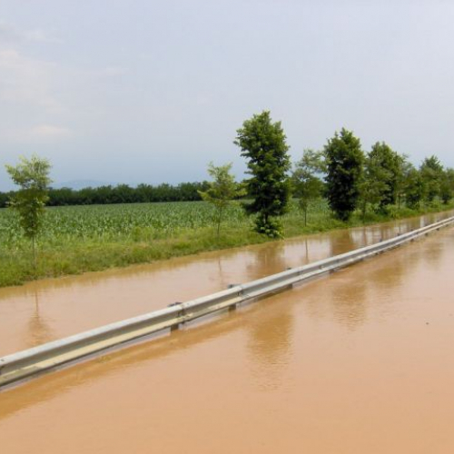 Verso pavia di UD 3.JPG / 14850