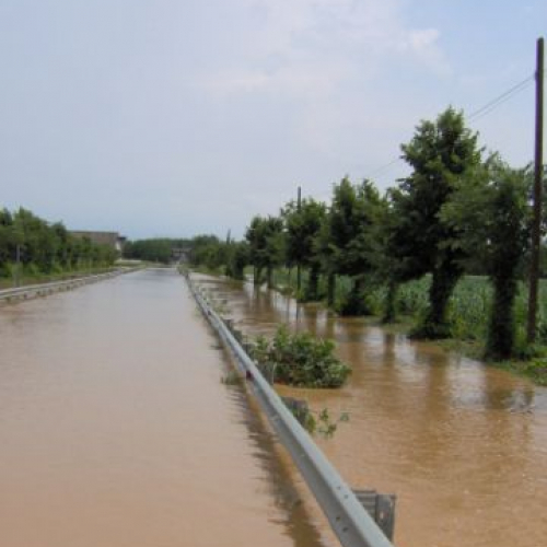 Verso pavia di UD 4.JPG / 14851