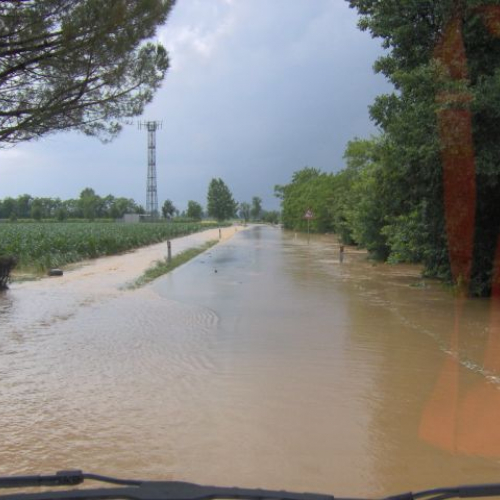 Verso pavia di UD 6.JPG / 14852