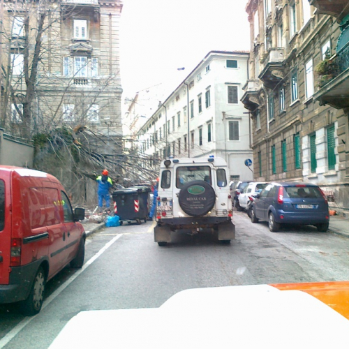 Via Belpoggio 13 (1).jpg / 75838