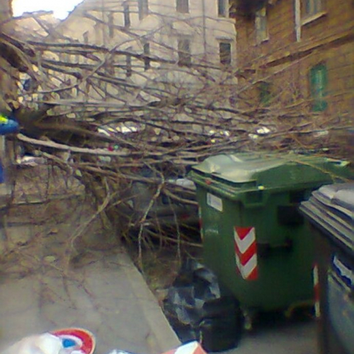 Via Belpoggio 13 (2).jpg / 75839