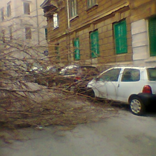 Via Belpoggio 13 (3).jpg / 75840