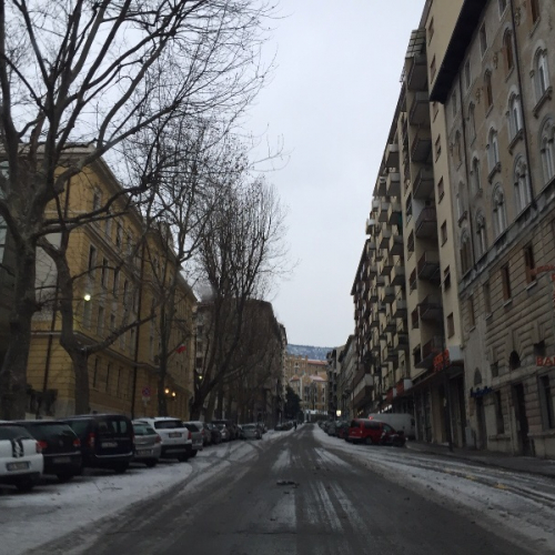 via Coroneo / 115617