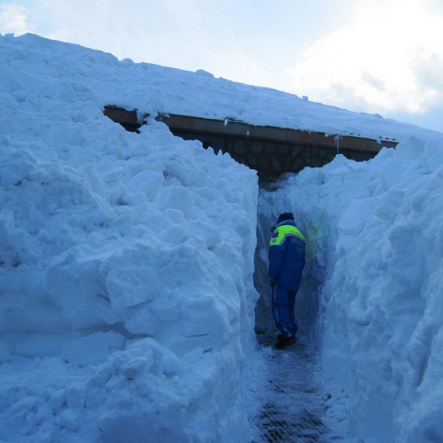 Interventi volontari a Montecopiolo n. 54 / 75783