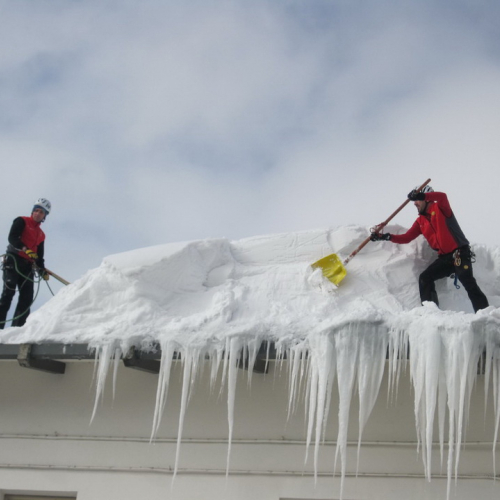 Interventi volontari a Montecopiolo n. 62 / 75791