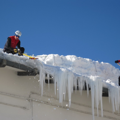 Interventi volontari a Montecopiolo n. 64 / 75793