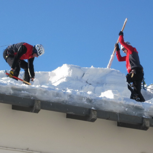 Interventi volontari a Montecopiolo n. 65 / 75794