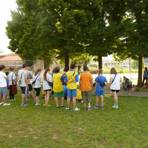 CAMPUS 2013 Faedis n. 1 / 97461