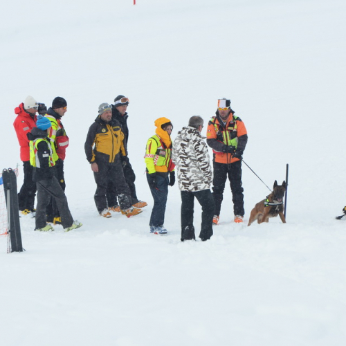 Esercitazione a Sella Nevea del 21/02 n. 64 / 91400