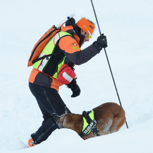 Esercitazione a Sella Nevea del 21/02 n. 86 / 91422