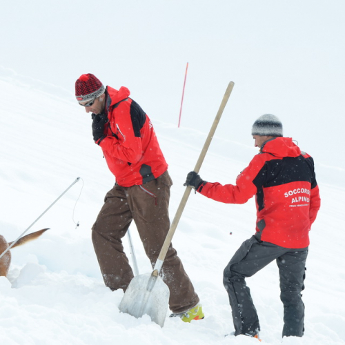 Esercitazione a Sella Nevea del 21/02 n. 94 / 91430