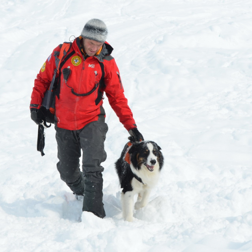 Esercitazione a Sella Nevea del 21/02 n. 98 / 91434