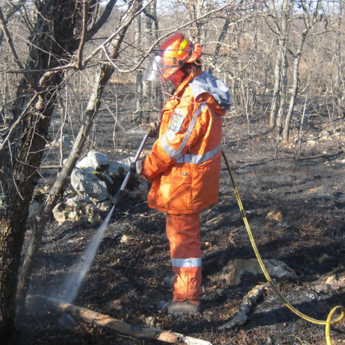 Incendio boschivo Monrupino-Trieste n. 1 / 77102