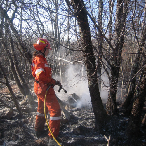 Incendio boschivo Monrupino-Trieste n. 10 / 77111