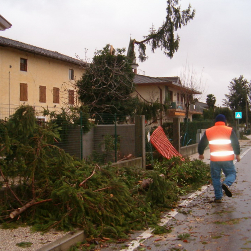 interventi volontari 01/12 n. 35 / 32713