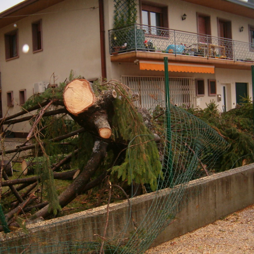 interventi volontari 01/12 n. 36 / 32714