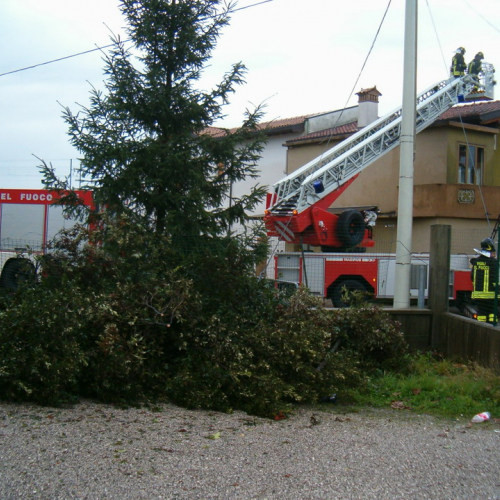 interventi volontari 01/12 n. 41 / 32719