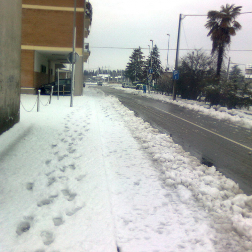 Interventi per la neve del 12/02/13 n. 14 / 90860